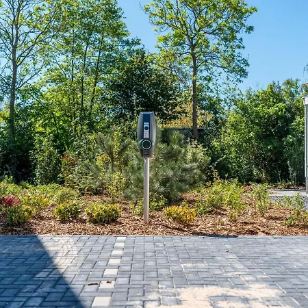 In Texel Near Forest &