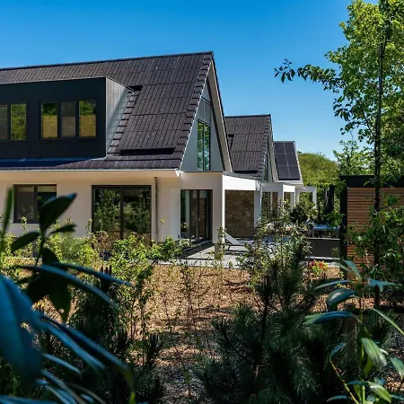 In Texel Near Forest & *