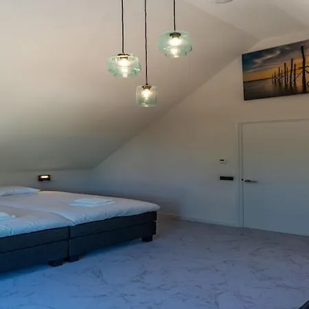 In Texel Near Forest & Den Burg