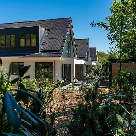 In Texel Near Forest & *