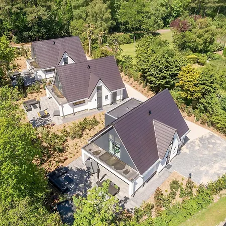 In Texel Near Forest &