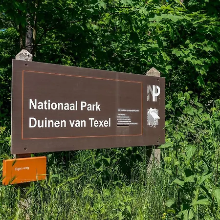 In Texel Near Forest & Villa